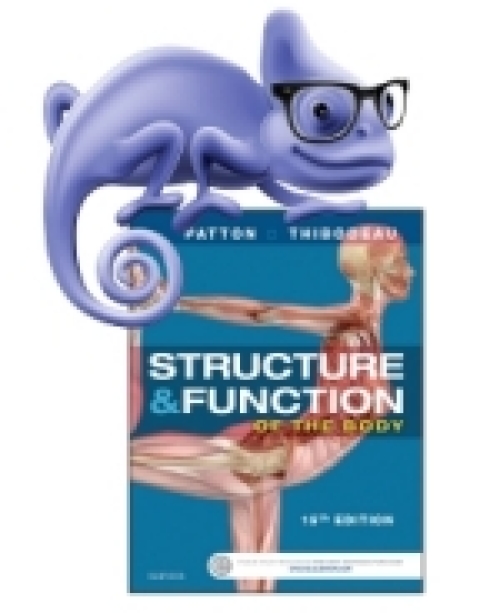 Cover image for book Elsevier Adaptive Quizzing for Structure & Function of the Human