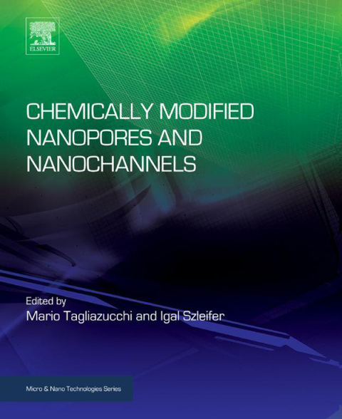 Cover image for book Chemically Modified Nanopores and Nanochannels