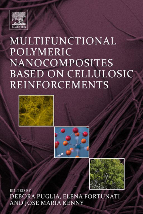 Cover image for book Multifunctional Polymeric Nanocomposites Based on Cellulosic Reinforcements