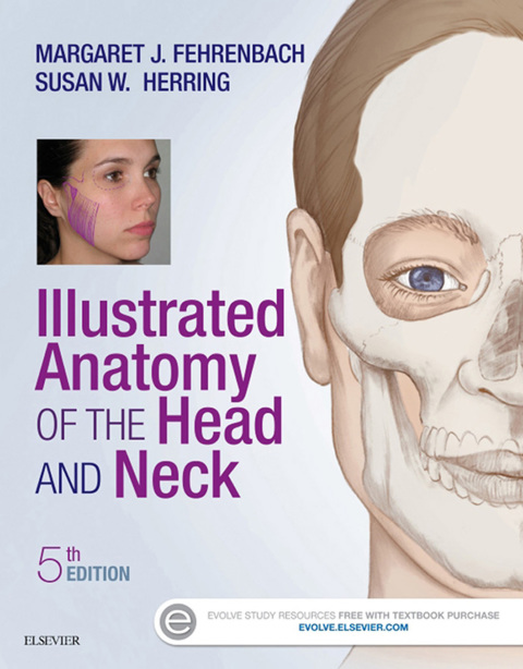 Cover image for book Illustrated Anatomy of the Head and Neck