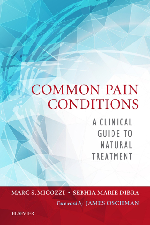 Cover image for book Common Pain Conditions
