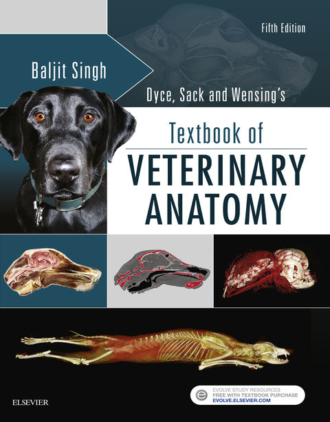 Cover image for book Dyce, Sack, and Wensing's Textbook of Veterinary Anatomy