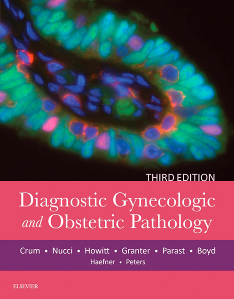 Cover image for book Diagnostic Gynecologic and Obstetric Pathology