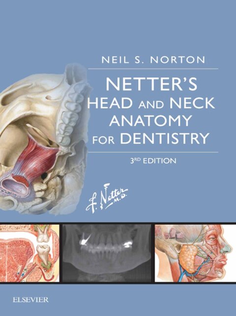 Netter's Head and Neck Anatomy for Dentistry 