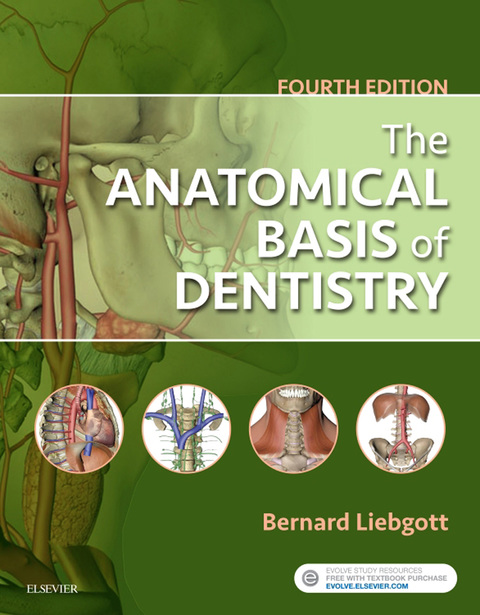 Cover image for book The Anatomical Basis of Dentistry