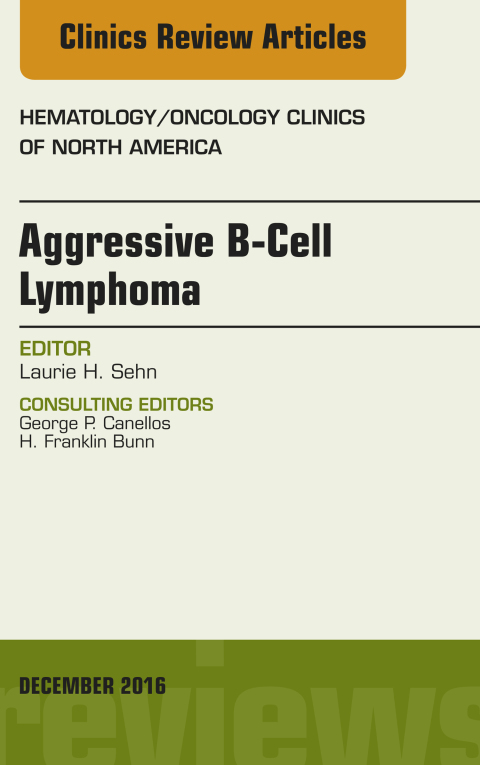 Cover image for book Aggressive B- Cell Lymphoma, An Issue of Hematology/Oncology Clinics of North America
