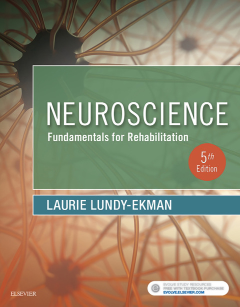 Cover image for book Neuroscience: Fundamentals for Rehabilitation