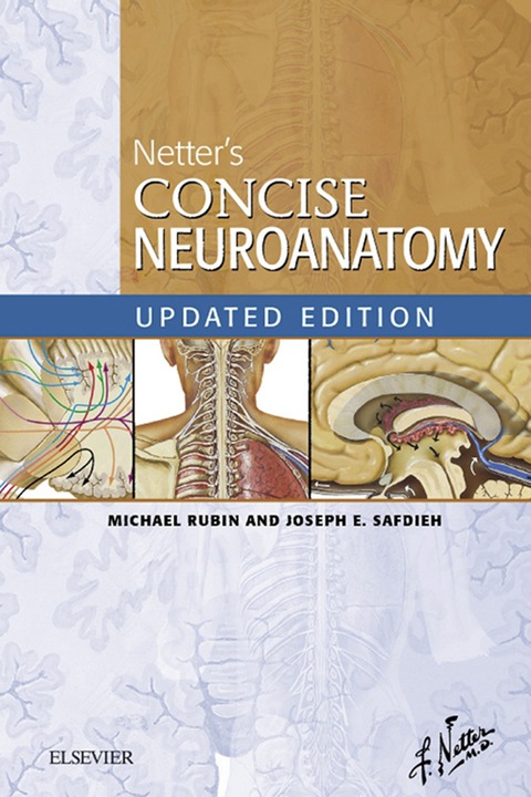 Cover image for book Netter's Concise Neuroanatomy Updated Edition