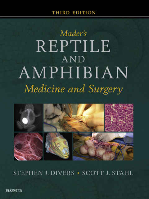 Cover image for book Mader's Reptile and Amphibian Medicine and Surgery