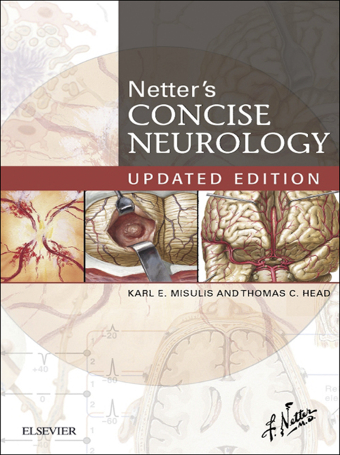 Cover image for book Netter's Concise Neurology Updated Edition