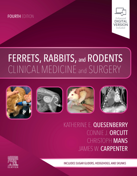 Cover image for book Ferrets, Rabbits and Rodents - Elsevier eBook on VitalSource