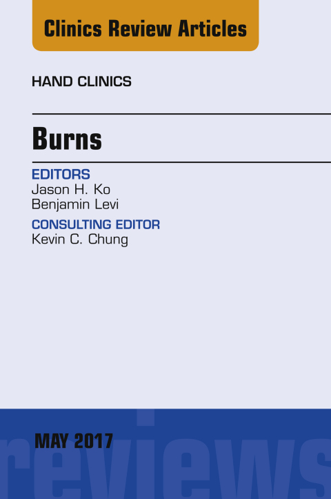 Cover image for book Burns, An Issue of Hand Clinics