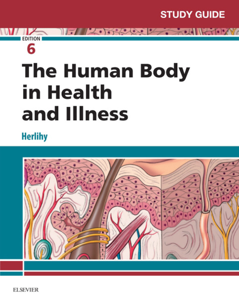 Cover image for book Study Guide for The Human Body in Health and Illness