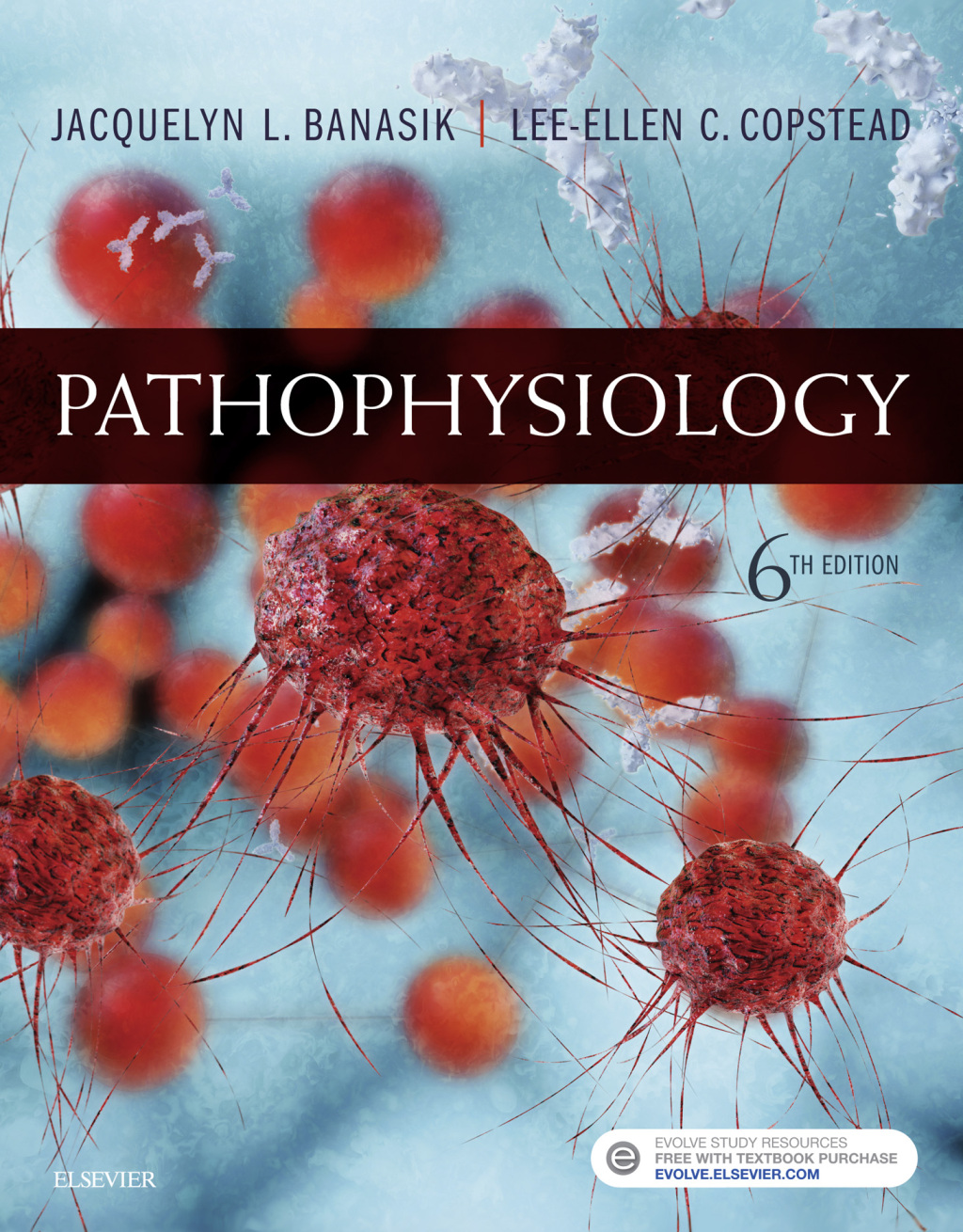 Reflowable Pathophysiology; $132.24