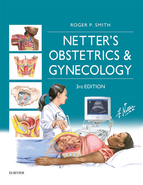 Cover image for book Netter's Obstetrics and Gynecology