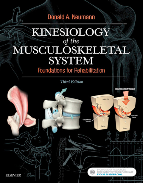 Kinesiology Of Musculoskeletal System