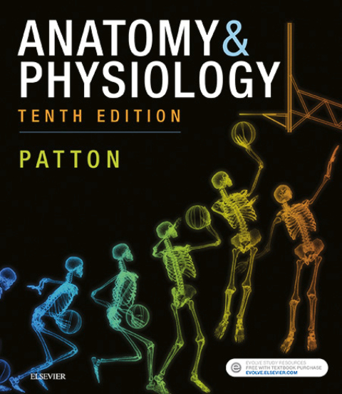 Cover image for book Anatomy & Physiology