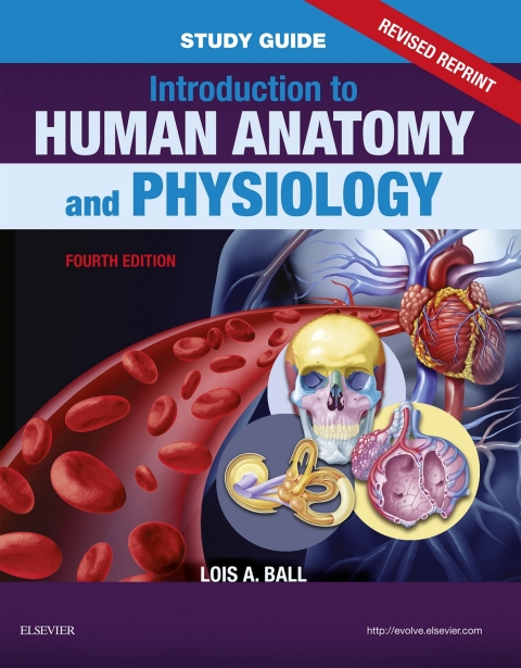 Cover image for book Study Guide for Introduction to Human Anatomy and Physiology - Revised Reprint
