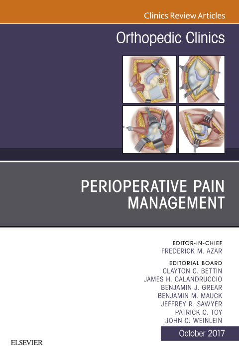Perioperative Pain Management, An Issue of Orthopedic Clinics 