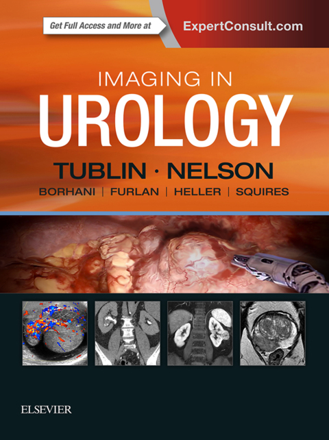 Cover image for book Imaging in Urology