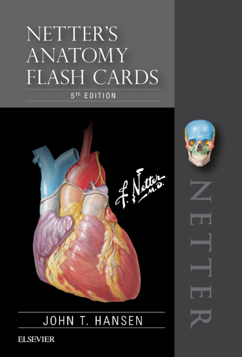 Cover image for book Netter's Anatomy Flash Cards E-Book