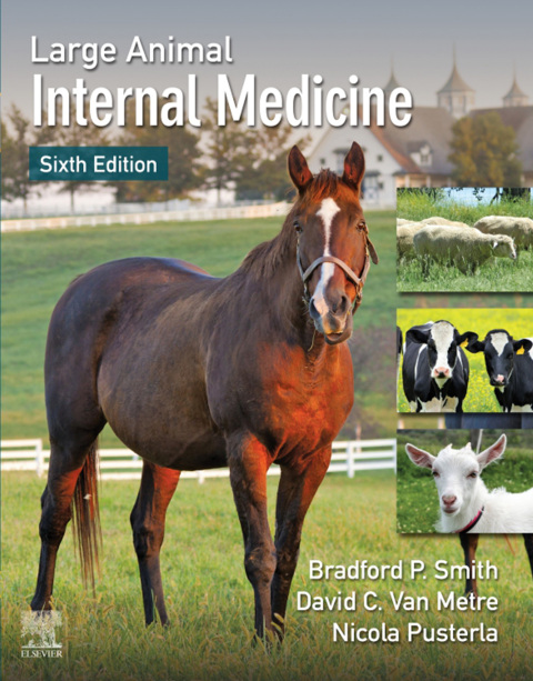 Large Animal Internal Medicine 