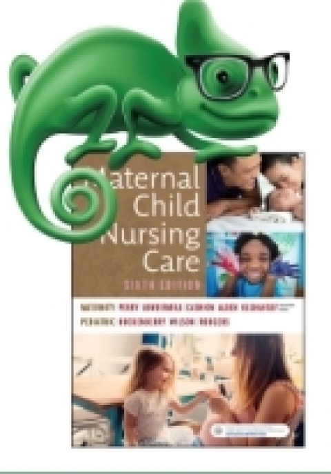Cover image for book Elsevier Adaptive Quizzing for Perry Maternal Child Nursing Care