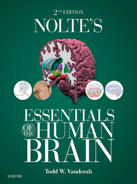 Cover image for book Nolte's Essentials of the Human Brain