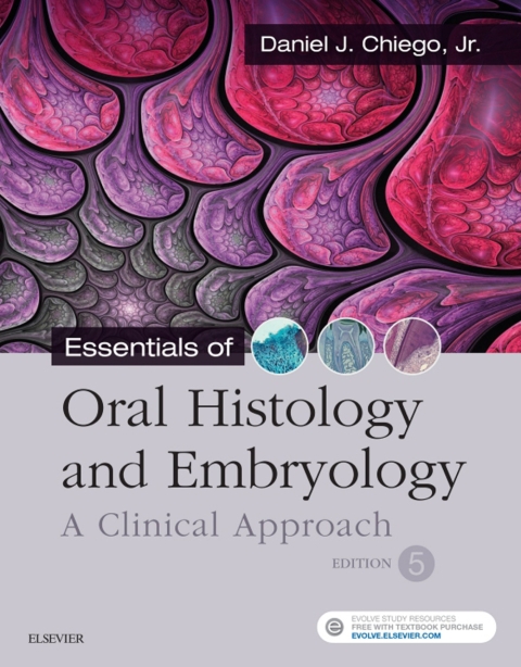 Cover image for book Essentials of Oral Histology and Embryology