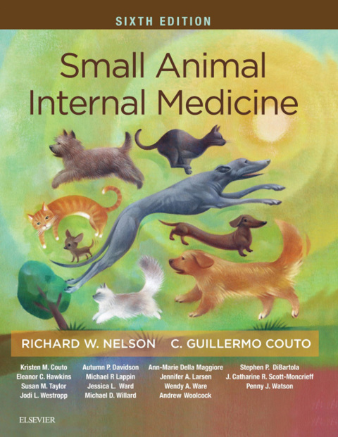 Cover image for book Small Animal Internal Medicine