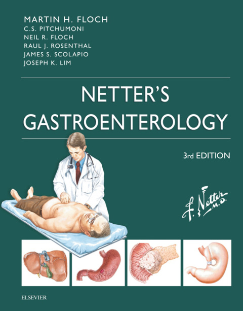 Cover image for book Netter's Gastroenterology