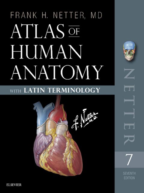 Cover image for book Atlas of Human Anatomy: Latin Terminology