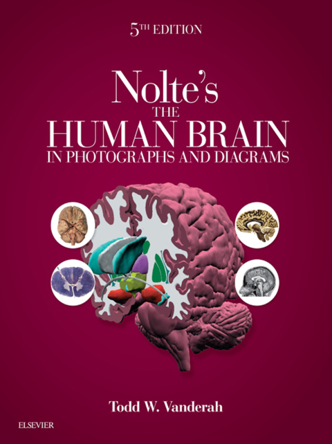 Nolte's Human Brain In Photo.. W/Access