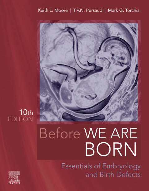 Cover image for book Before We Are Born