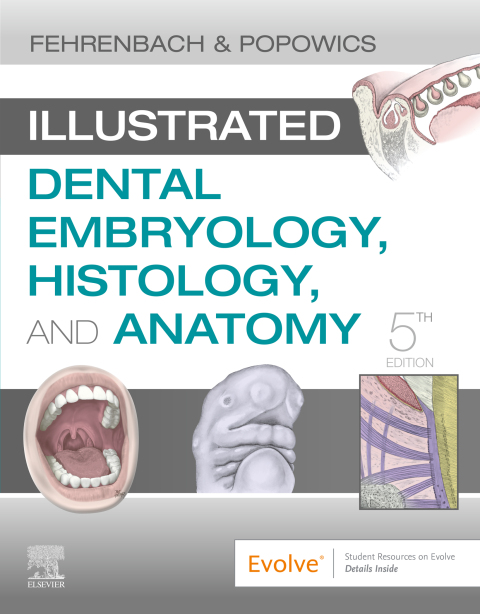 Cover image for book Illustrated Dental Embryology, Histology, and Anatomy