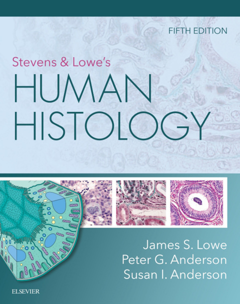 Cover image for book Stevens & Lowe's Human Histology