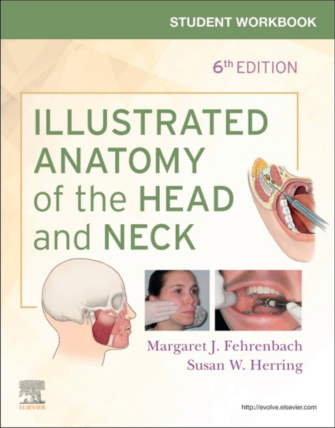 Illustrated Anatomy Of Head+.. Workbook