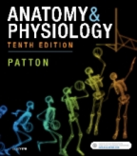 Cover image for book Anatomy and Physiology Online for Anatomy & Physiology