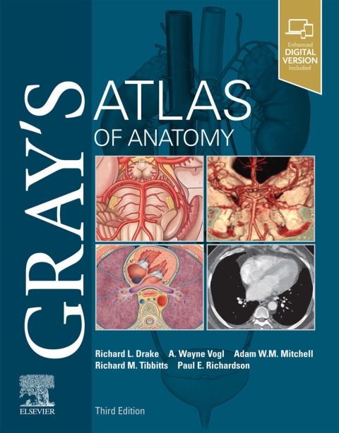 Cover image for book Gray's Atlas of Anatomy
