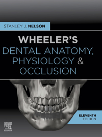 Cover image: Wheeler's Dental Anatomy, Physiology and Occlusion 11th edition 9780323638784