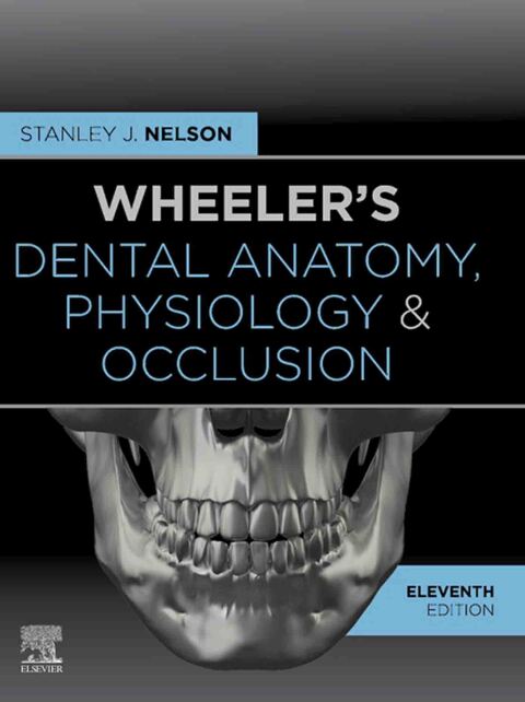 Cover image for book Wheeler's Dental Anatomy, Physiology and Occlusion