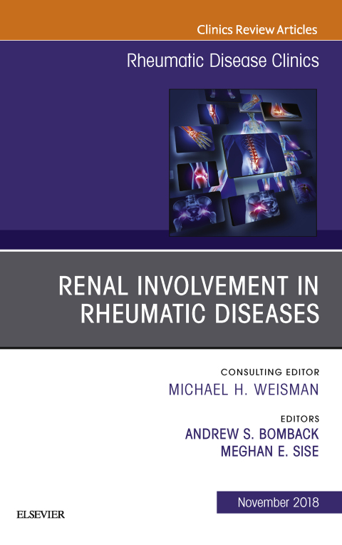 Cover image for book Renal Involvement in Rheumatic Diseases , An Issue of Rheumatic Disease Clinics of North America