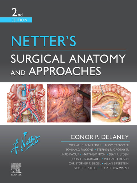Cover image for book Netter's Surgical Anatomy and Approaches