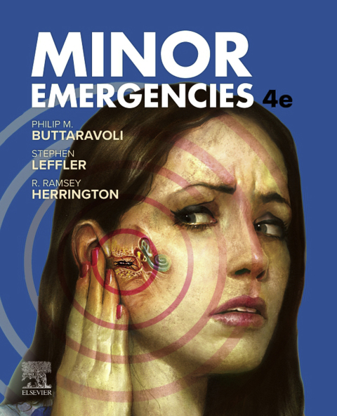 Cover image for book Minor Emergencies
