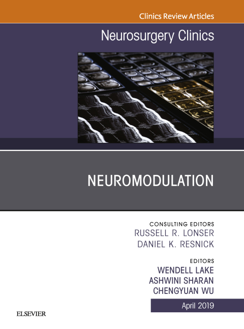 Cover image for book Neuromodulation, An Issue of Neurosurgery Clinics of North America, An Issue of Neurosurgery Clinics of North America