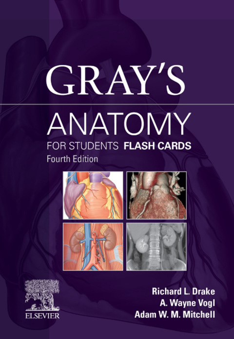Gray's Anatomy for Students Flash Cards 