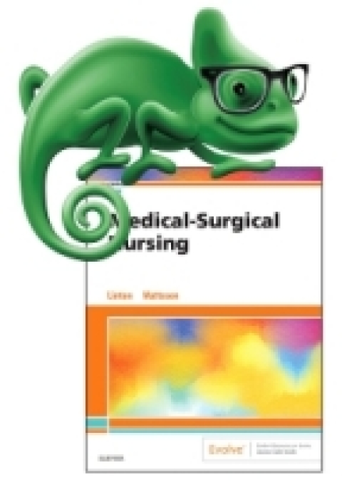 Cover image for book Elsevier Adaptive Quizzing for Introduction to Medical-Surgical Nursing