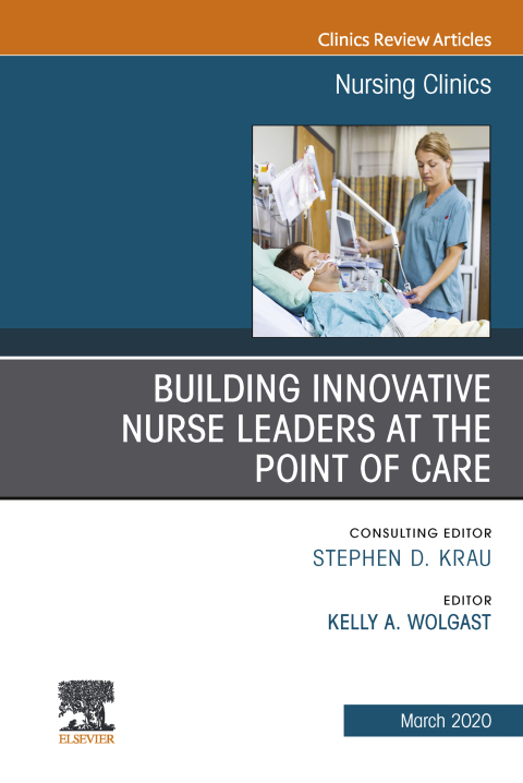 Cover image for book Building Innovative Nurse Leaders at the Point of Care,An Issue of Nursing Clinics