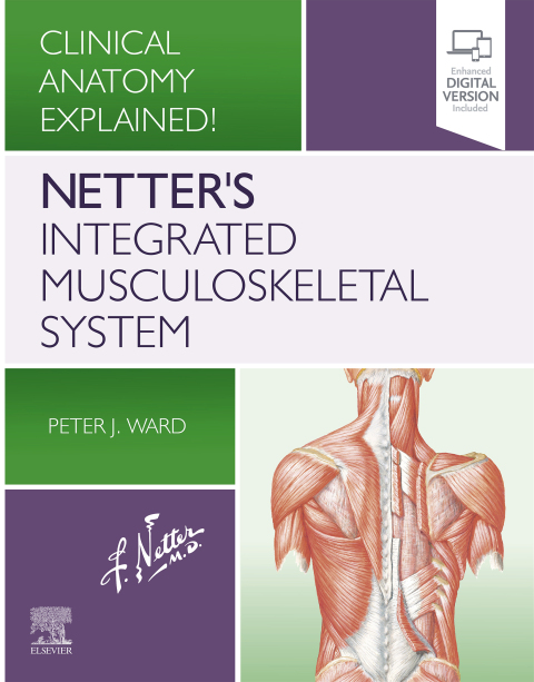 Cover image for book Netter's Integrated Musculoskeletal System