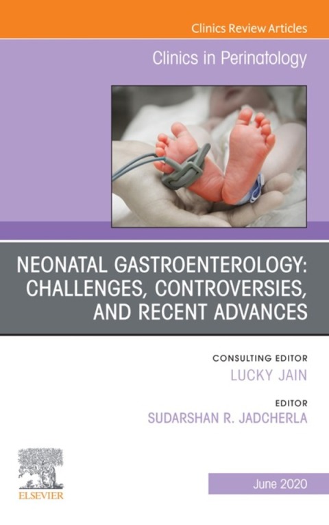 Cover image for book Neonatal Gastroenterology: Challenges, Controversies And Recent Advances, An Issue of Clinics in Perinatology